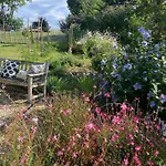 Hébergement de vacances Charmante Maison Avec Jardin à Marsac - 50 M² Marsac (Tarn-et-Garonne)