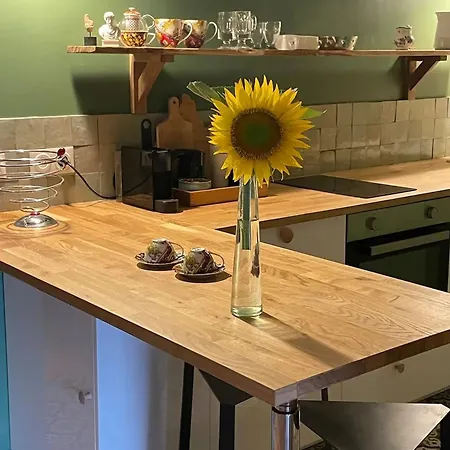 Hébergement de vacances Charmante Maison Avec Jardin à Marsac - 50 M² Marsac (Tarn-et-Garonne)
