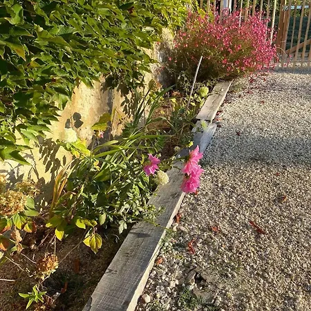 Charmante Maison Avec Jardin A Marsac - 50 M²
